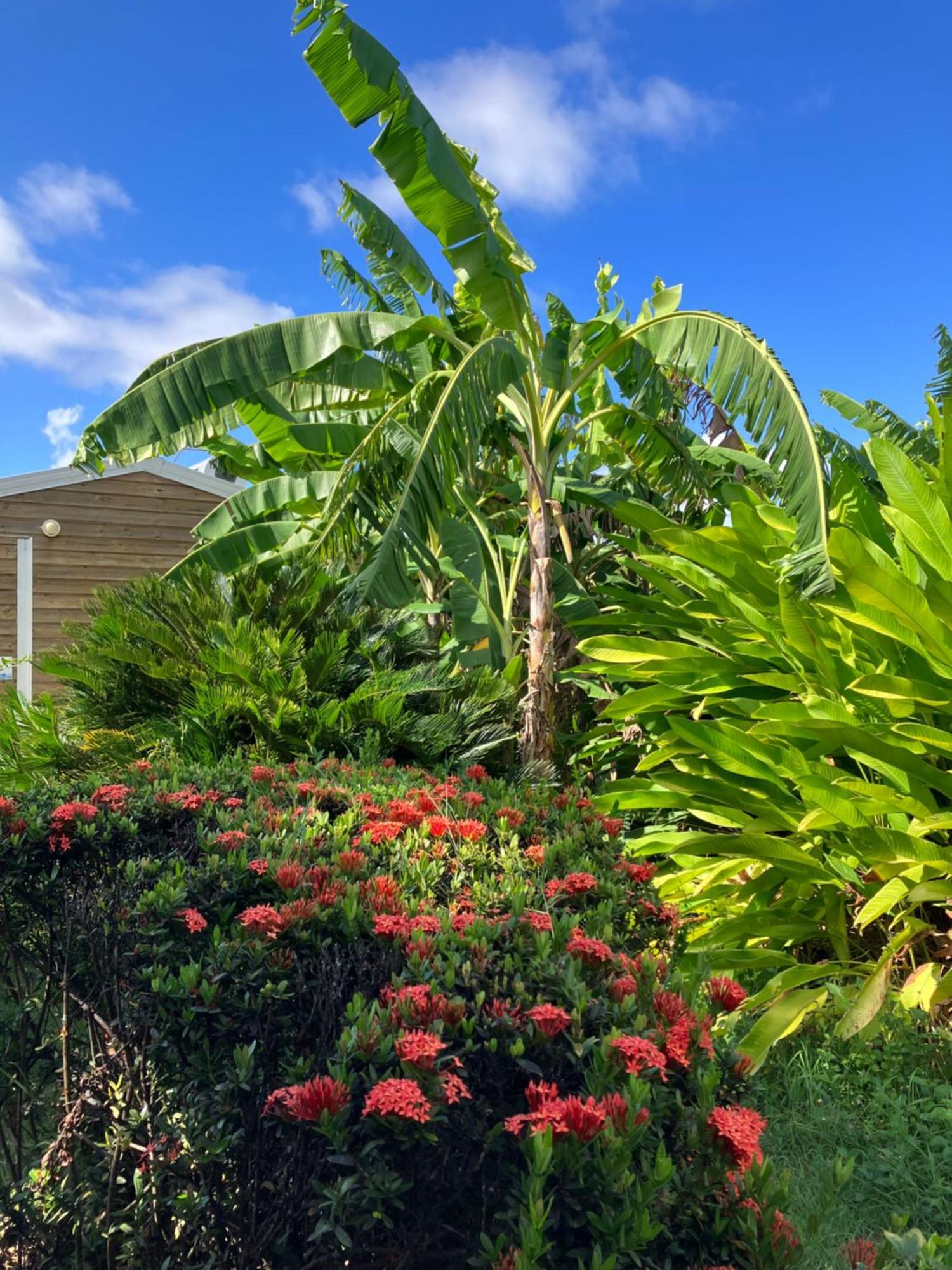 Gite Ty Koko Villa Saint-Francois  Bagian luar foto